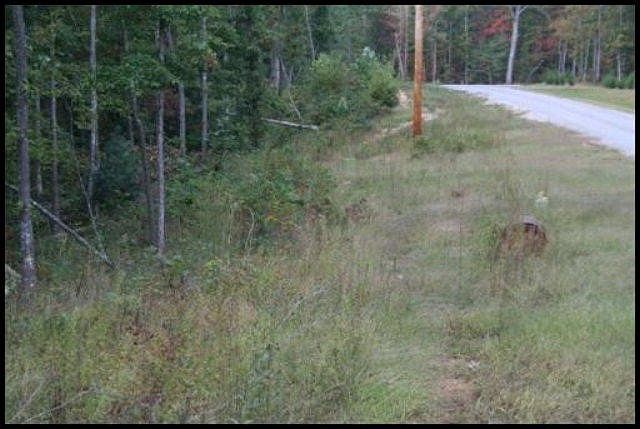 1st image of 0 Wilderness Ln Lot 378