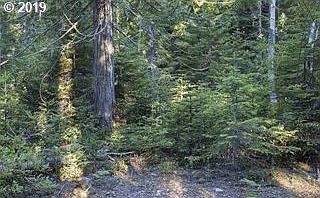 2nd image of 0 E Mineral Creek Dr