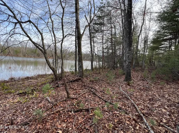 241 Star Lake Way, Deer Lodge, TN 37726