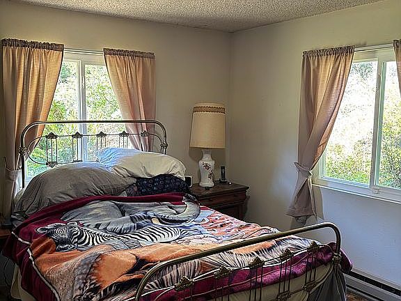 Bedroom 1 windows 