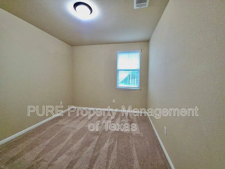 309 Epiphany Ln — Photo 12