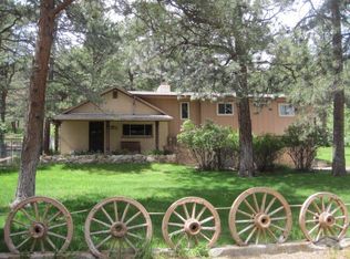 10675 Charles Ln, Rye, CO 81069