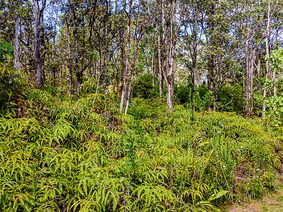 4th image of 12-4340 Puna St Lot 576