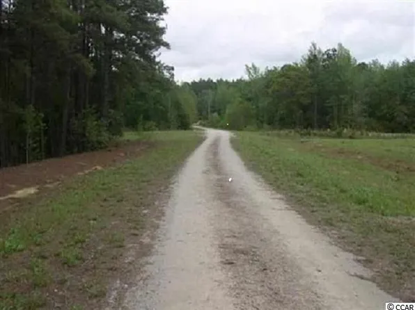 238 Clemmons Dr. Lot # 10 Clemmons Drive, Tabor City, NC 28463