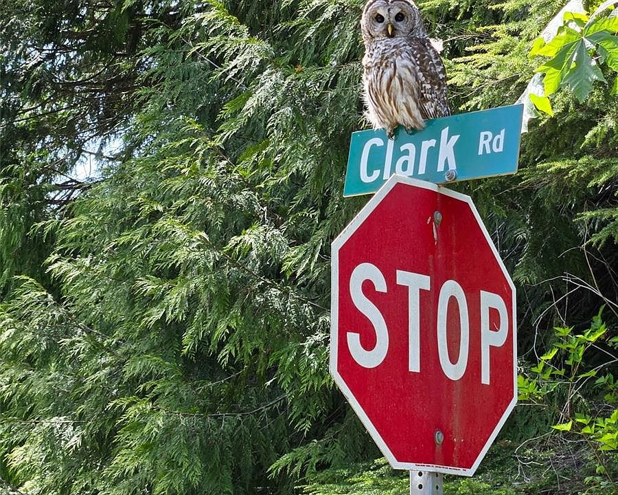 1st image of LOT 13 Clark Rd