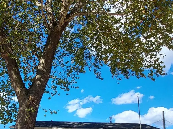 3950 Randell Rd, Columbus, OH 43228