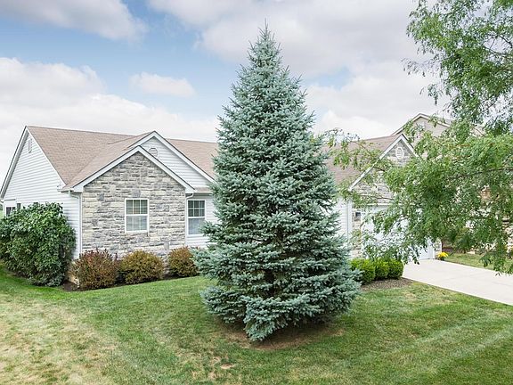 3rd image of 1031 Wallace Dr