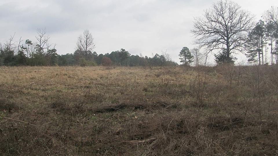2nd image of 2279 Shaver Rd
