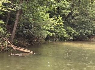 18 Piney Pointe Ln #18, Mill Spring, NC 28756