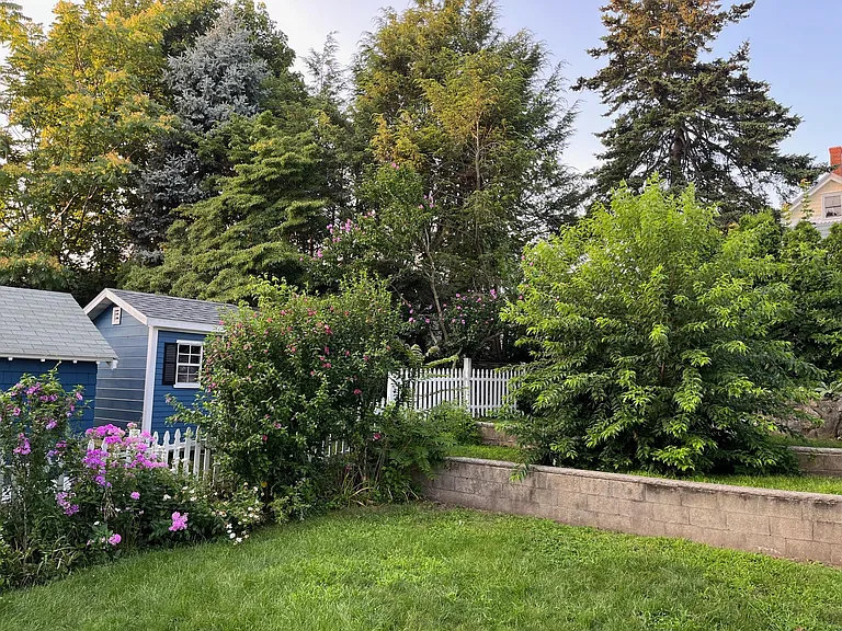 Back garden and lawn with mature plantings