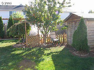 Back yard green house, garden and shed.