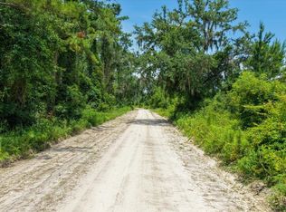 Vacant Ne Bayberry St, Madison, FL 32340