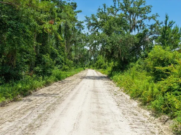 Vacant Ne Bayberry St, Madison, FL 32340