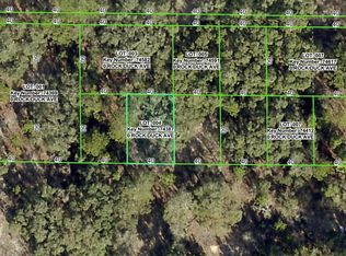 ROCK DUCK AVENUE LOT 4, BROOKSVILLE, FL 34614