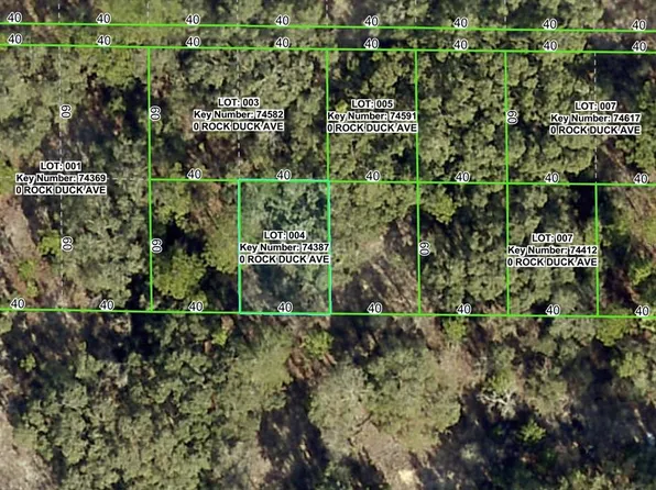 Rock Duck Ave Lot 4, Brooksville, FL 34614