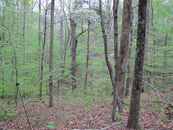 4th image of 8725 Warner Rd Lot Wp001