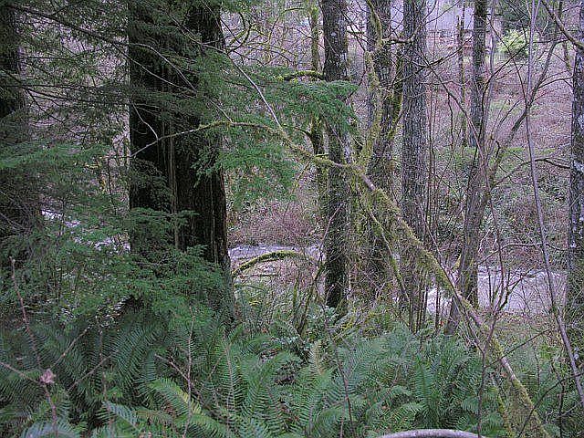 2nd image of 195 Baker Rd