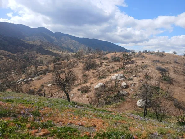 Kendall Rd, Caliente, CA 93518