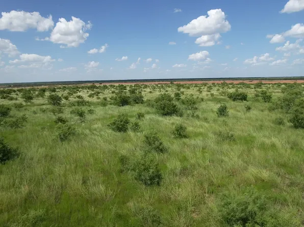 TRACT 14 County Road 495, Hawley, TX 79525