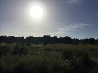 48 County Rd, Yalaha, FL 34797