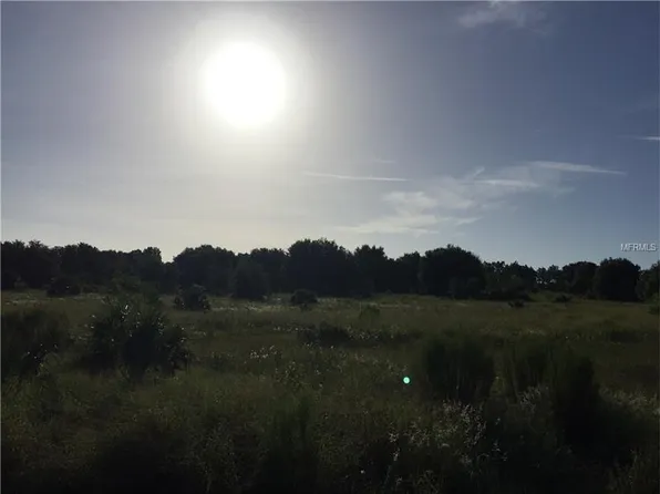 48 County Rd, Yalaha, FL 34797