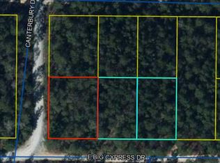 19 E Big Cypress Dr, Defuniak Springs, FL 32433