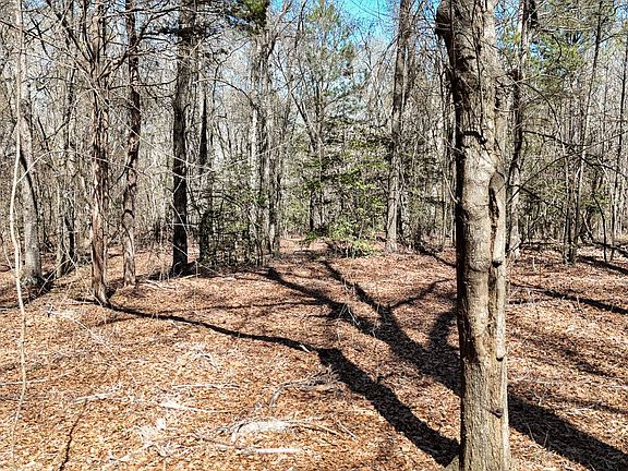 3rd image of 8 Guest Cir #8