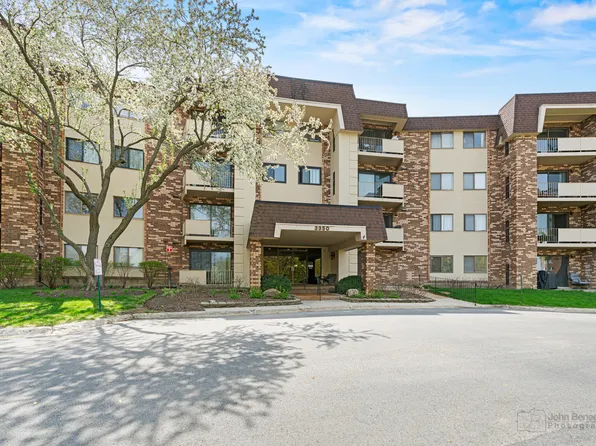 3350 N Carriageway Dr Unit 217, Arlington Heights, IL 60004