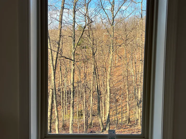 Lookout Rdg — Photo 41