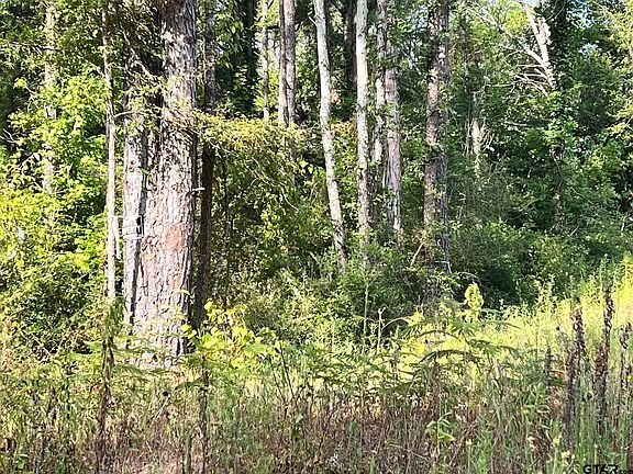 5th image of 7394 County Road 1804