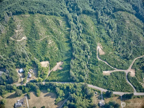 0 Tract 4 South Valley Rd, Naselle, WA 98638
