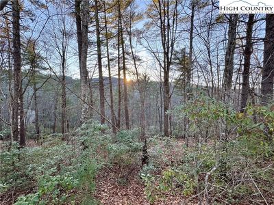 TBD Roaring Ridge Road, Deep Gap, NC, 28618