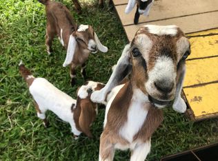 28-257 Akaka Falls Rd, Honomu, HI 96728