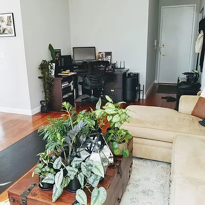 Rented by Voro NYC | media 3