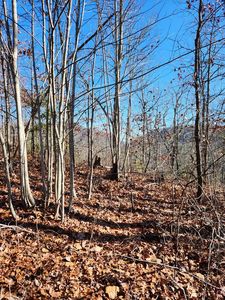 0 Burning Ember Trl, Murphy, NC, 28906