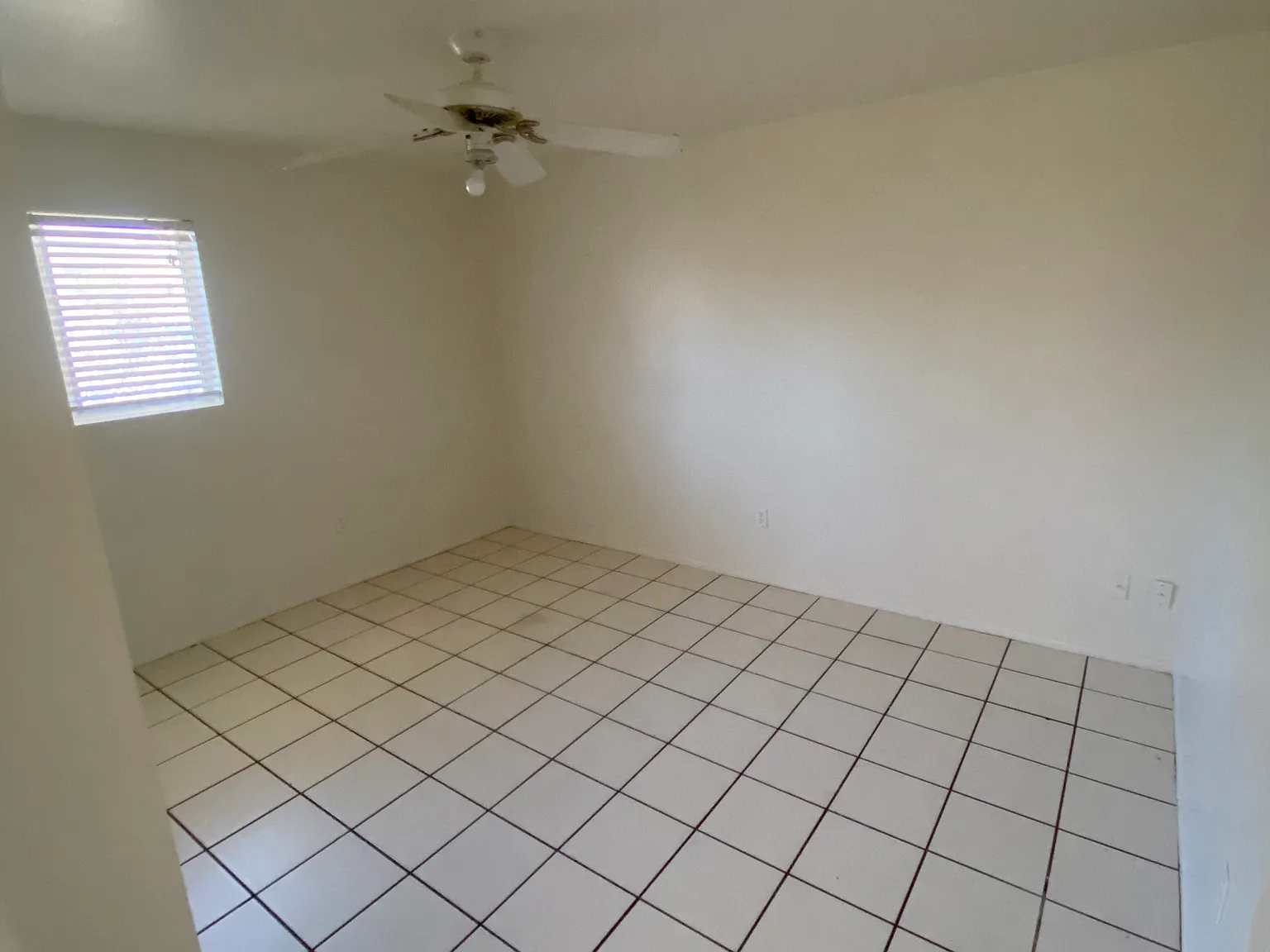 2 bed, $1,245 — Photo 4