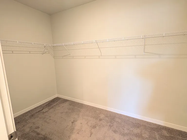 Spacious walk-in closet