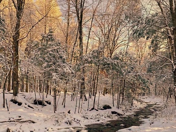 4th image of 0 Band Camp