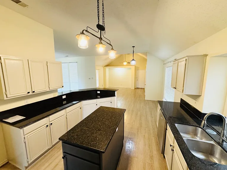 716 Elm Falls Pl — Photo 4