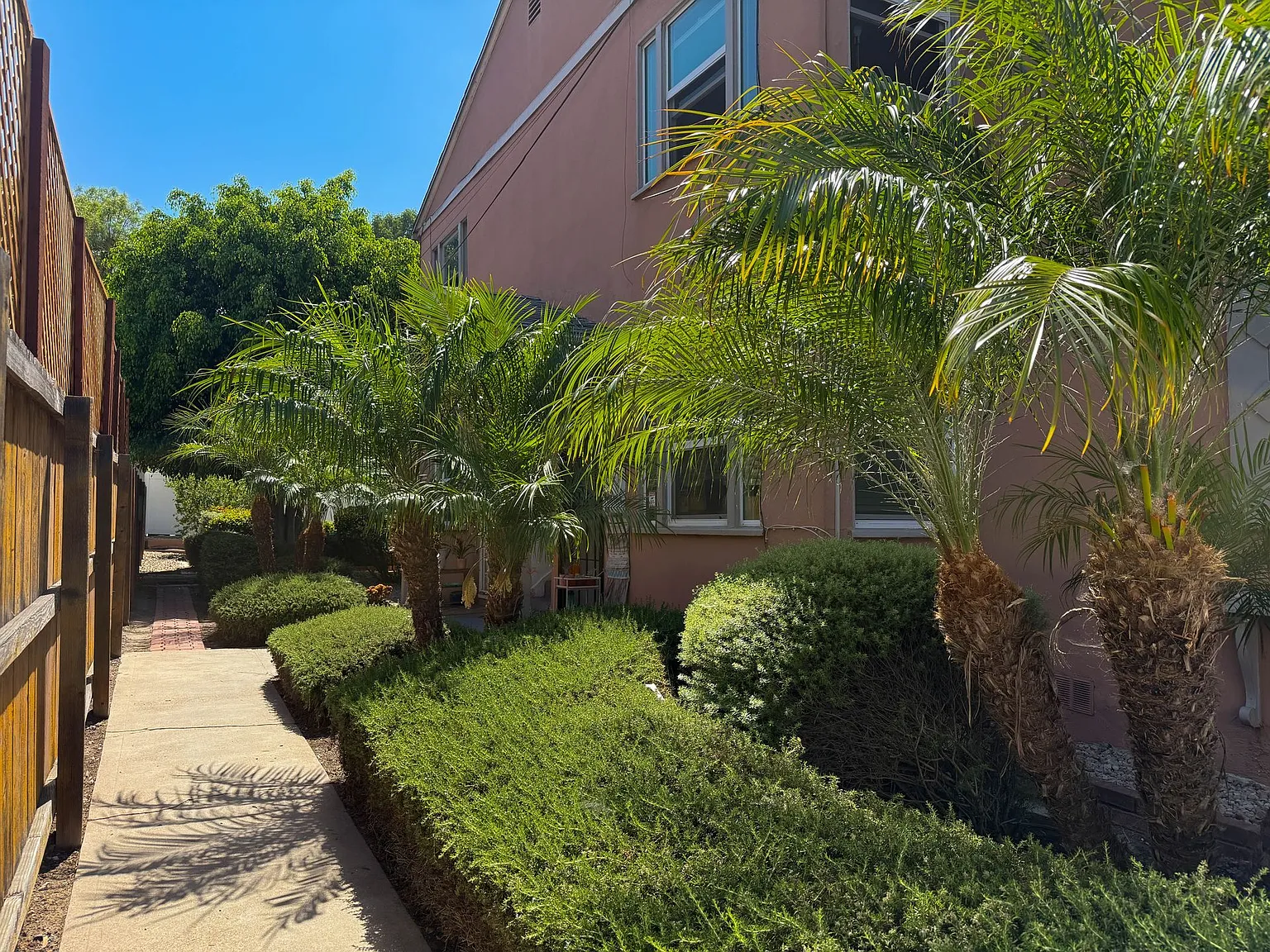 Texas North Apartments — Photo 3