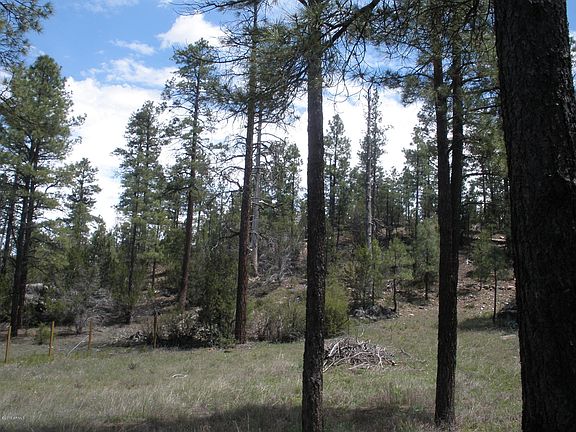 4th image of 1775 E Canyon Drive