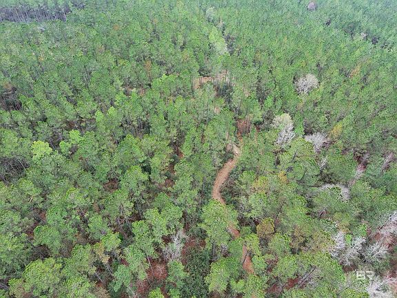 4th image of 0 Griggers Rd