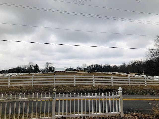 Gorgeous horse farm across the street.