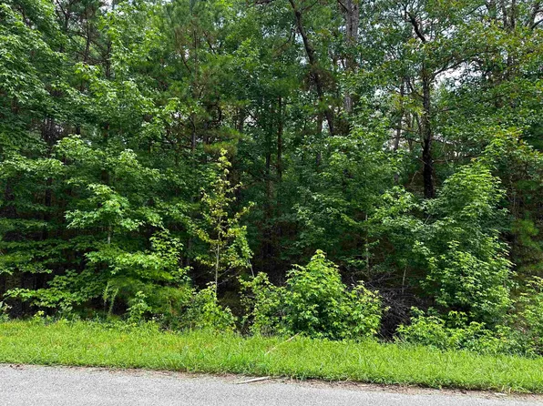 LOT 106 Cobalt Bay Dr, Shirley, AR 72153
