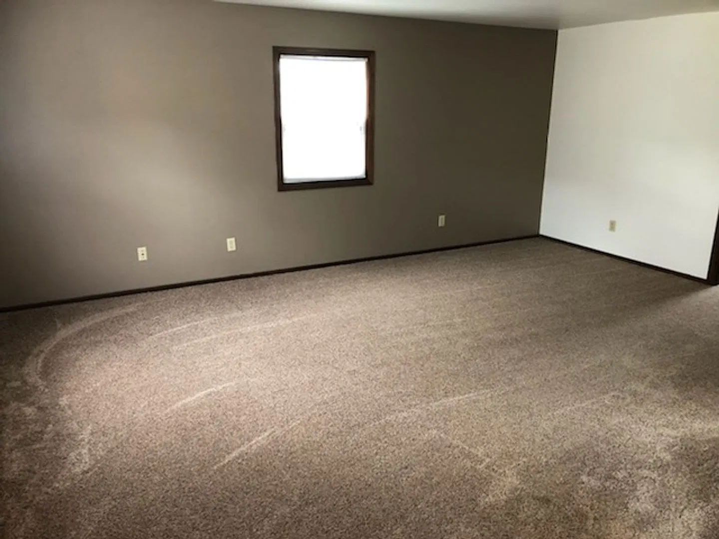 2 bed, 775 sqft, $800 — Photo 4