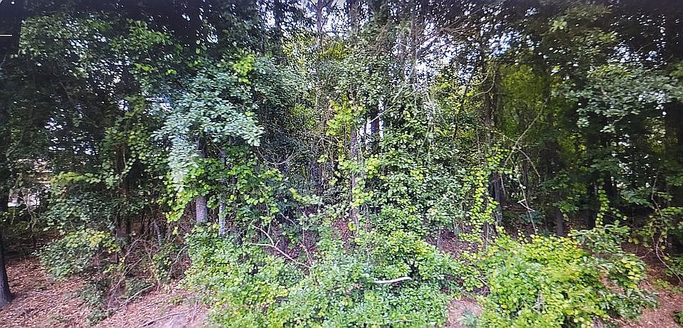 2nd image of 625 Niven Ave