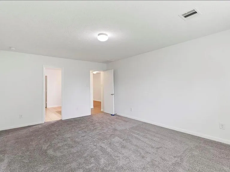 16119 Peach Bluff Ln — Photo 19