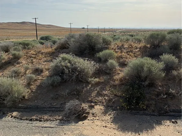 0 Cholla Lot 59, Helendale, CA 92342