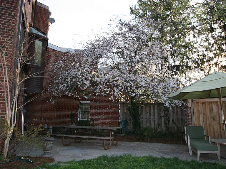 Back yard.