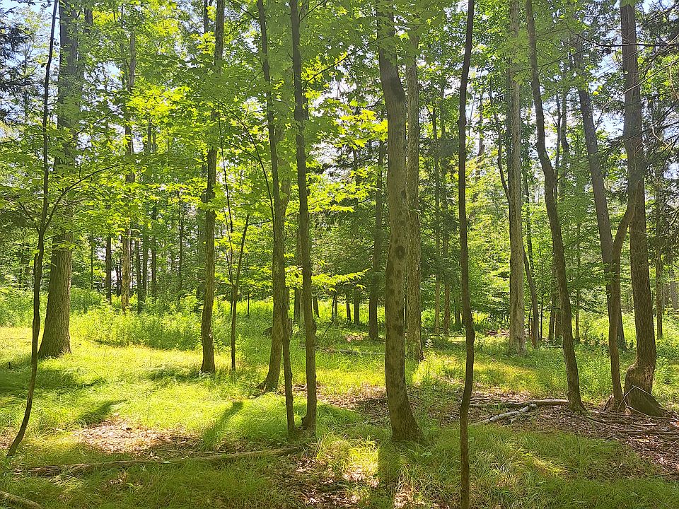 Baxter Lake Rd LOT WP001, Lawrenceville, PA 16929 Zillow